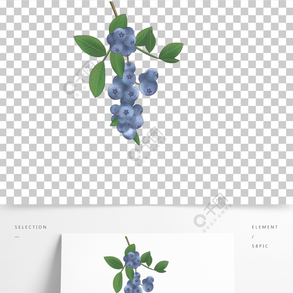 藍莓手繪卡通水果藍紫色