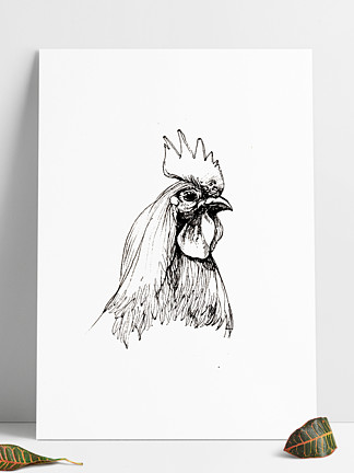 鸡头简笔画 铅笔画图片