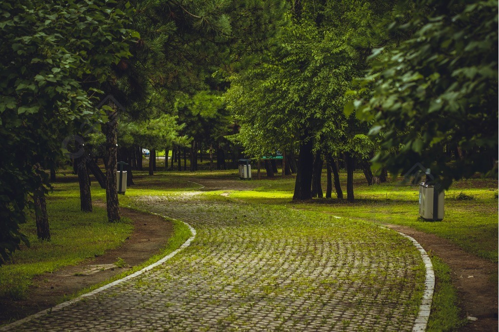 林蔭蜿蜒的小路風景素材