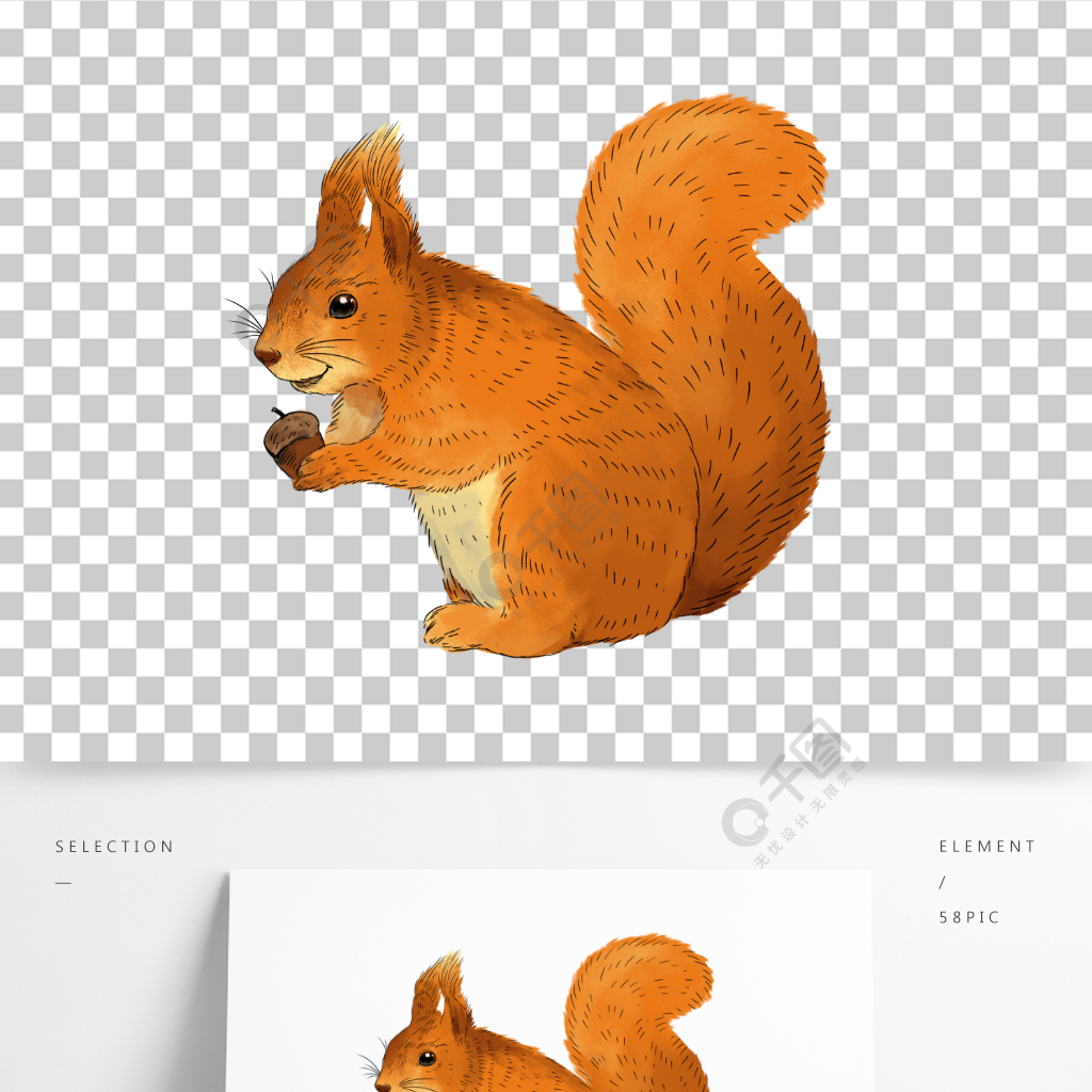 手绘动物可爱松鼠作品详情文件格式:psd文件大小:6.
