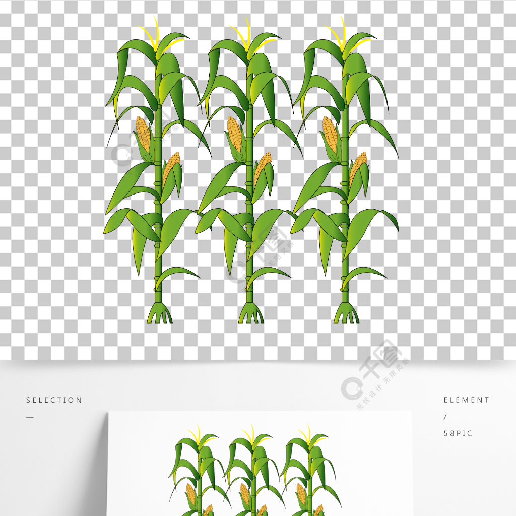 玉米杆动画图片