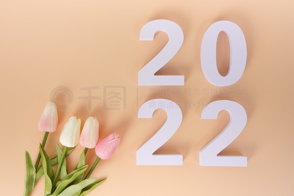 2022Ӱ