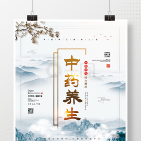 简约中国风中医中药养生健康美容促销海报