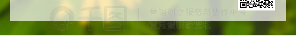 11ǩֻ