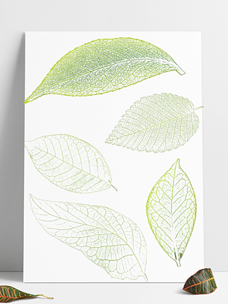 树叶绿色植物叶子<i>纹</i><i>理</i>边框素材海报