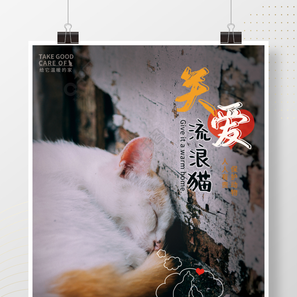 关爱宠物流浪猫保护动物摄影图海报