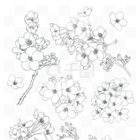 梅花樱花花枝国风黑白手绘线稿插画过年元素