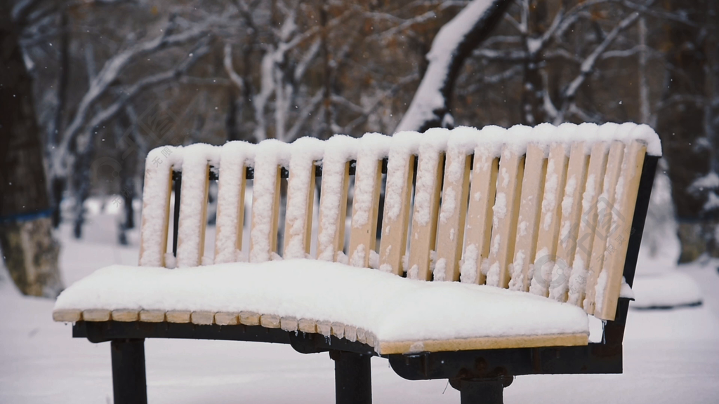 唯美冬日公园雪景实拍