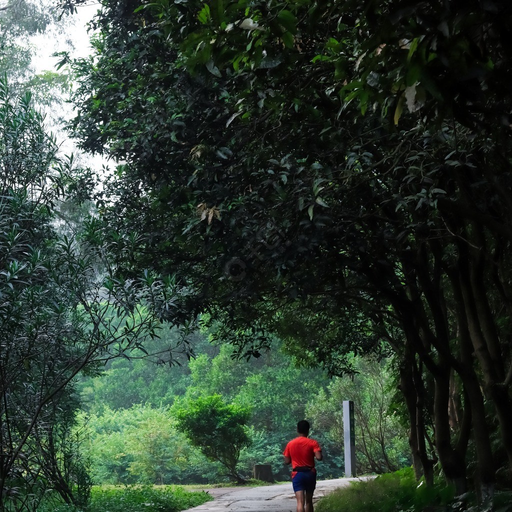 一名男士在森林公園中跑步運動背影