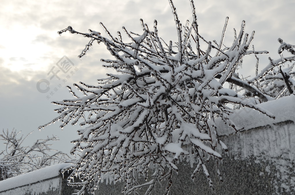 冰天雪地公園雪樹