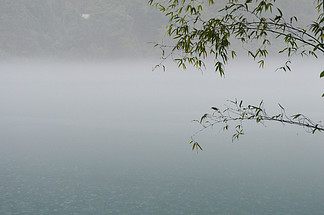 免费收藏免费下载摄影图雾漫小东江湖面水面下雨大雾竹子风景风光免费