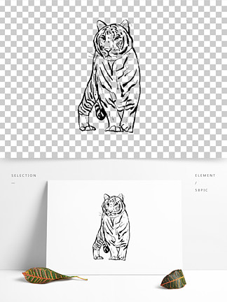 【老虎線條】圖片免費下載_老虎線條素材_老虎線條模板-千圖網