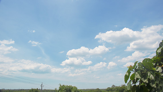 藍天白雲風景壁紙綠樹天空自然