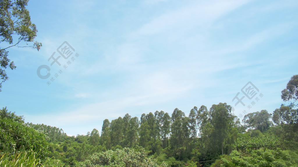 大自然綠樹壁紙藍天白雲風景