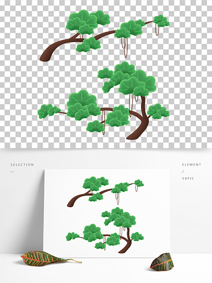 手繪中國風松樹松柏青松國潮樹枝 i>幹 /i>植物元素