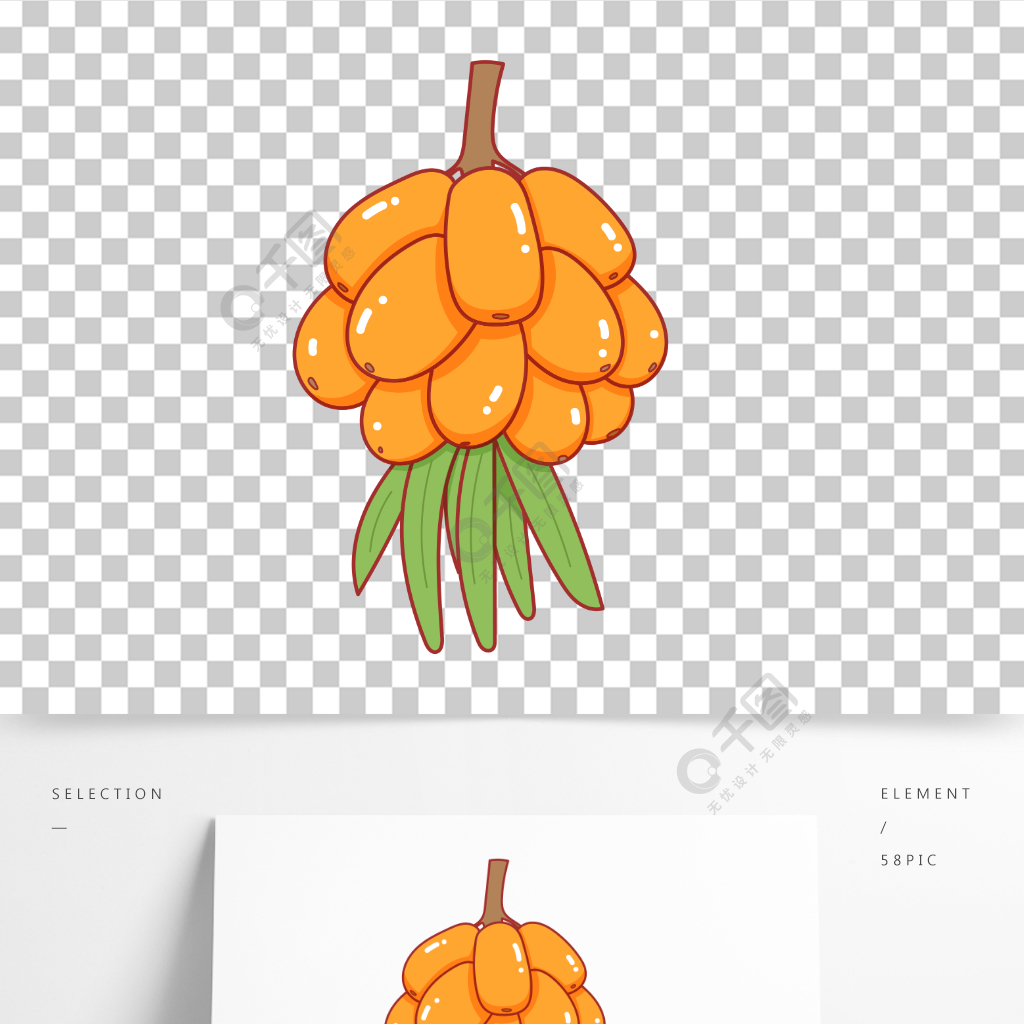 卡通手绘水果沙棘果线条插画矢量装饰元素