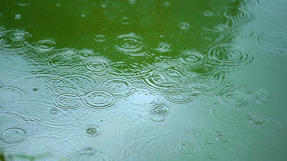 一边阳光一边雨的图片图片