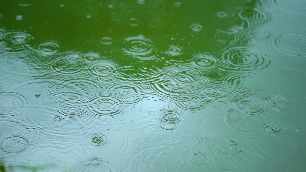 4k實拍意境下雨天雨水水滴意境風光