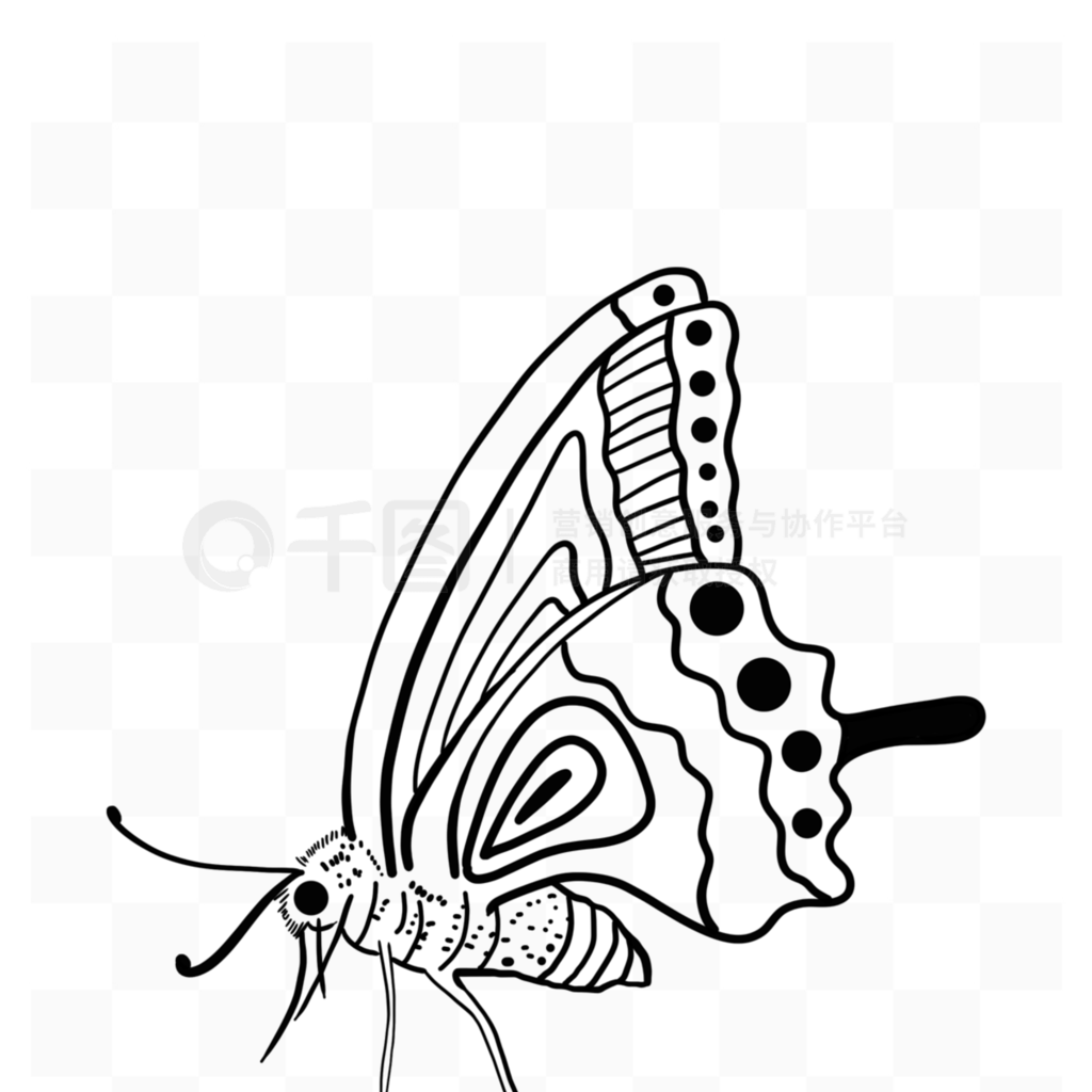 ͼĺbutterfly clipart black and white