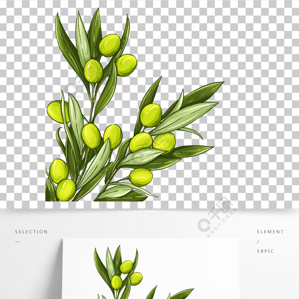 橄欖插畫手繪橄欖枝橄欖果