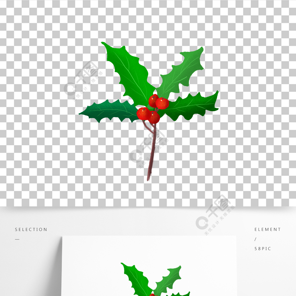 冬季圣诞节冬青叶可爱绿色肌理手绘插画元素