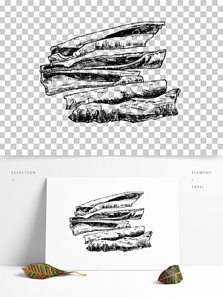 桂皮纤维图手绘图片
