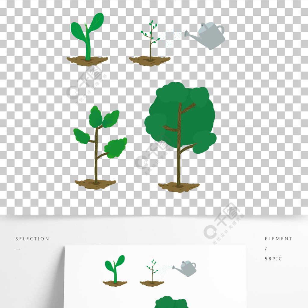 植樹節種植成長過程圖澆水淋水樹苗發芽生機