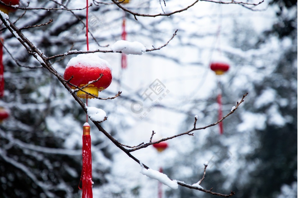 高清雪景新年小灯笼实拍图片