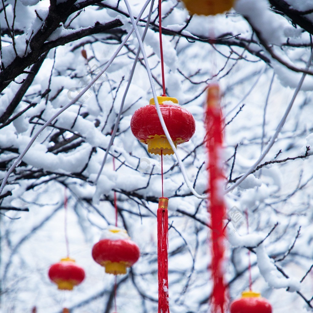 高清雪景新年小灯笼实拍图片