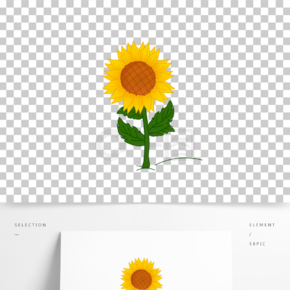 彩色向日葵png圖片