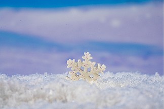 寒冬雪景风景摄影