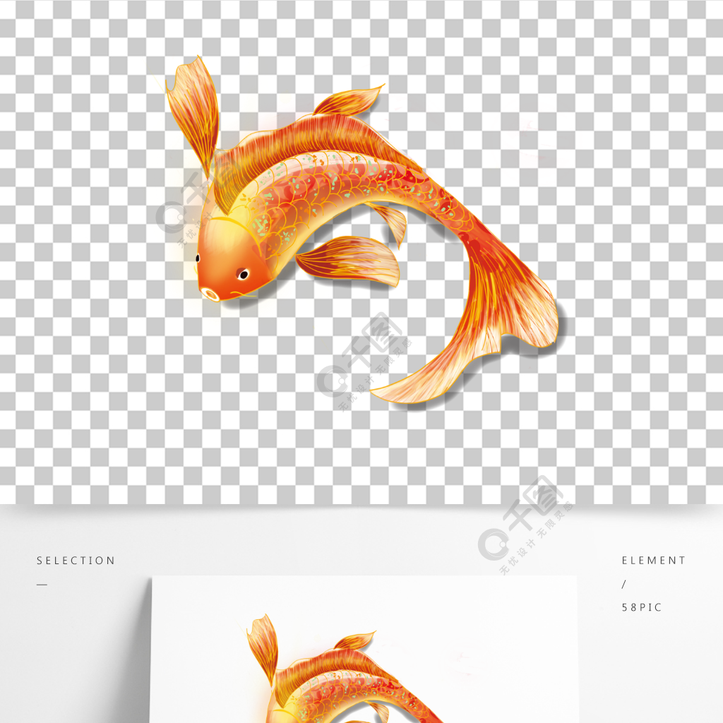 錦鯉鯉魚原創傳統中國風新年春節元素手繪