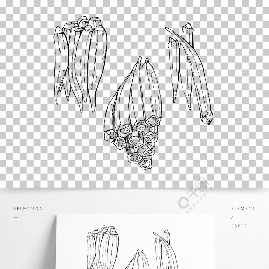 秋葵黑白线稿原创线条形状设计元素秋葵组合