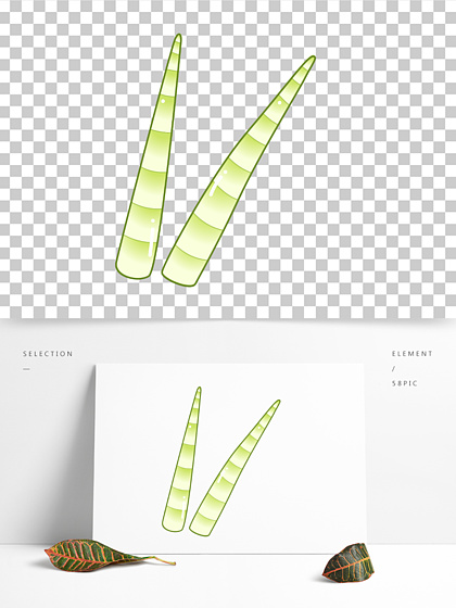 【矢量竹笋图】图片免费下载