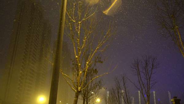 雪15暫無數據千圖為您找到23張素材,您還可以找到視頻路燈下的夜景