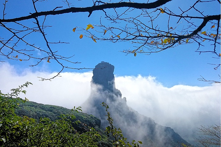 手繪插畫22237142貴州之銅仁梵淨山旅遊海報314241貴州梵淨山老金頂