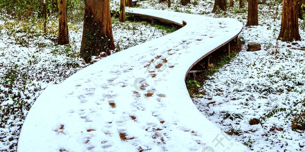 冬天树林小路积雪脚印