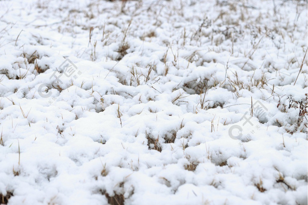 下雪天鄉村白雪場景自然風光