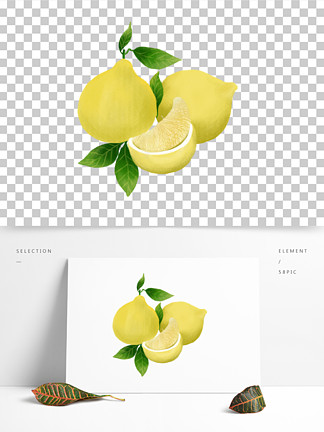原創手繪 i>水 /i> i>果 /i>金黃色柚子免摳素材