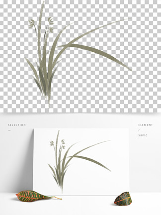 傳統手繪蘭草 i>水 /i> i>墨 /i>畫