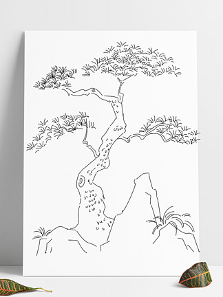 松树线描写生图片
