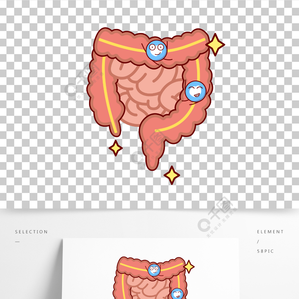 插畫手繪矢量可愛腸胃器官乳酸菌
