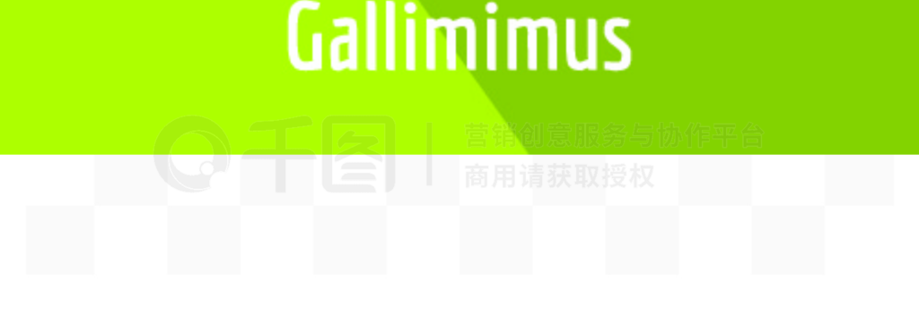 Gallimimus ͼꡣ web  Gallimimus ʸͼƽͼGallimimus ͼ꣬ƽʽ