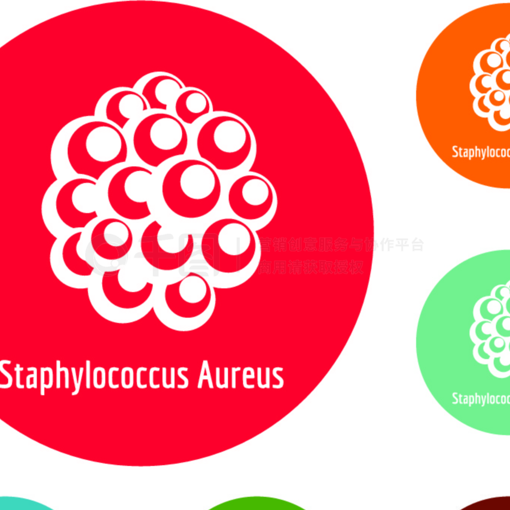 StaphylococcusAureus