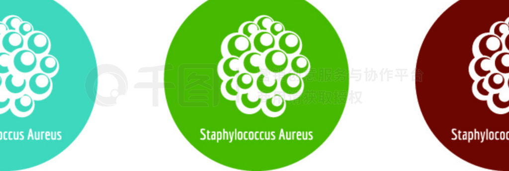 StaphylococcusAureus