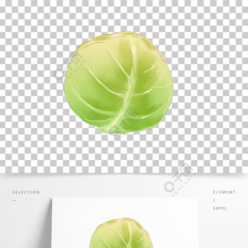 手绘卡通包菜卷心菜绿色菜植物厨房