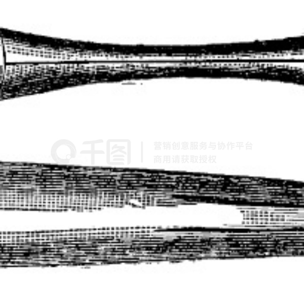 ٪޼ belemnites ĸ๣ŵ̲ͼࣿ 1886 ꡣ