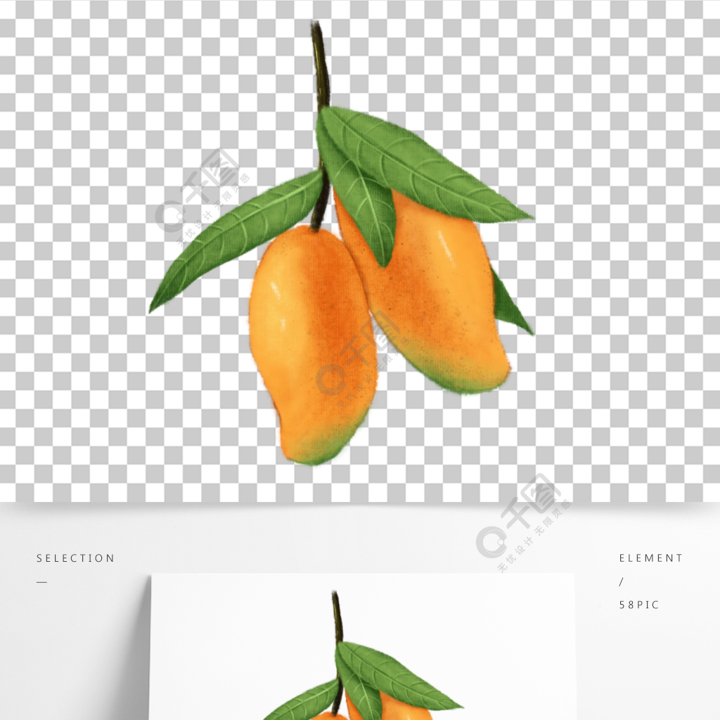 手繪風細膩寫實水果芒果元素插畫