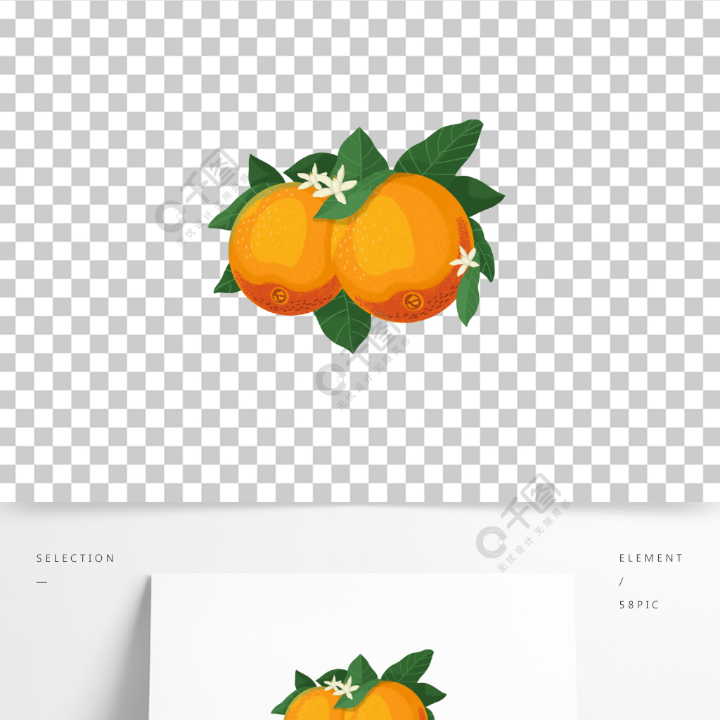 手繪新鮮綠葉甜橙水果元素