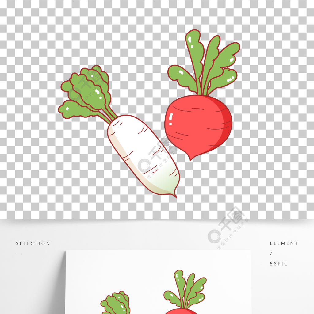 杨花萝卜图片卡通图片